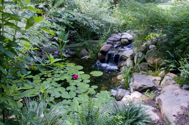 Outdoor Waterfall Design & Installation in Bergen County, NJ