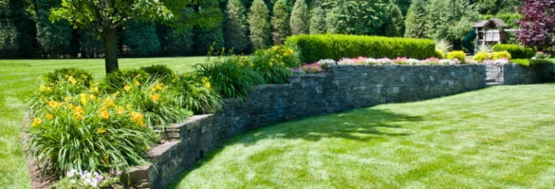 Understanding Green Lawn Care