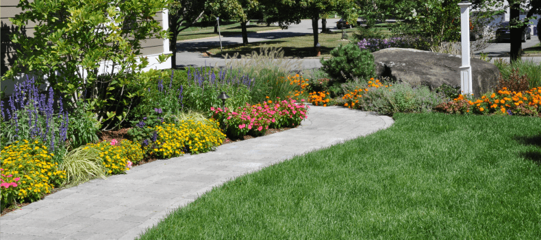 What Types of Grass Grow Best In New Jersey? - NJ Best Lawns, Sprinklers &  Fencing New Jersey