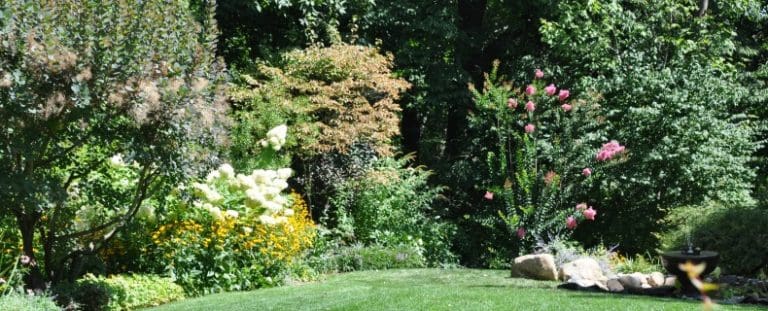 Top 20 List of Perennial Flowers for Your NJ Garden