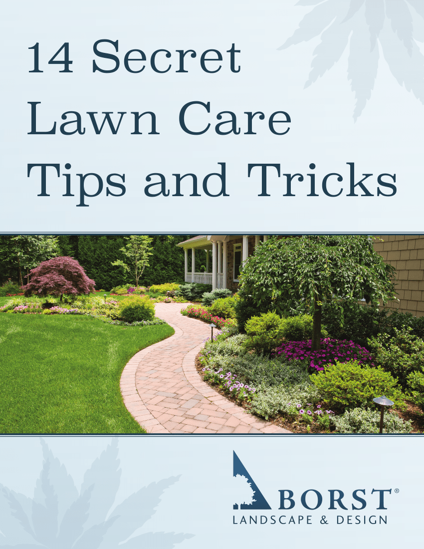 Fall Lawn Care in NJ: 10 Tips