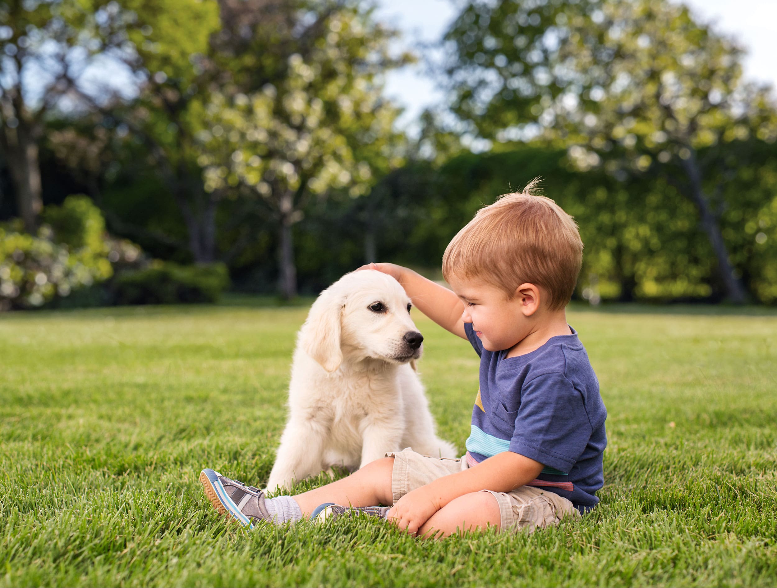 organic lawn care service