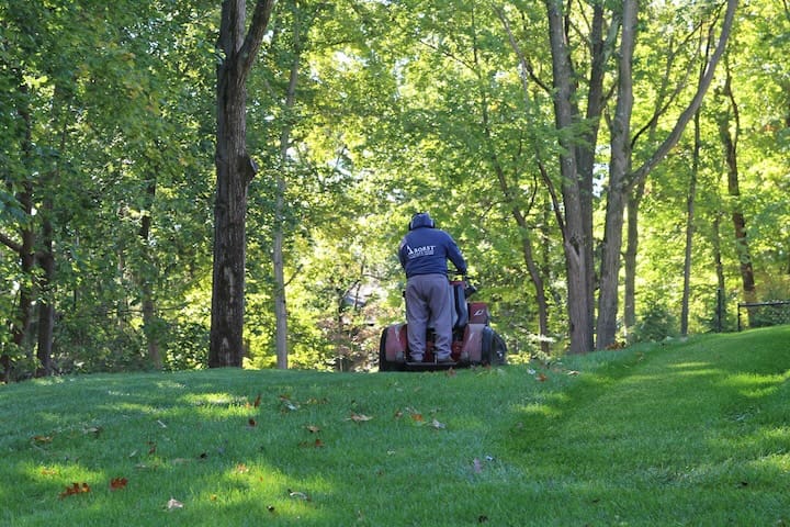 landscaping-lawn-mowing