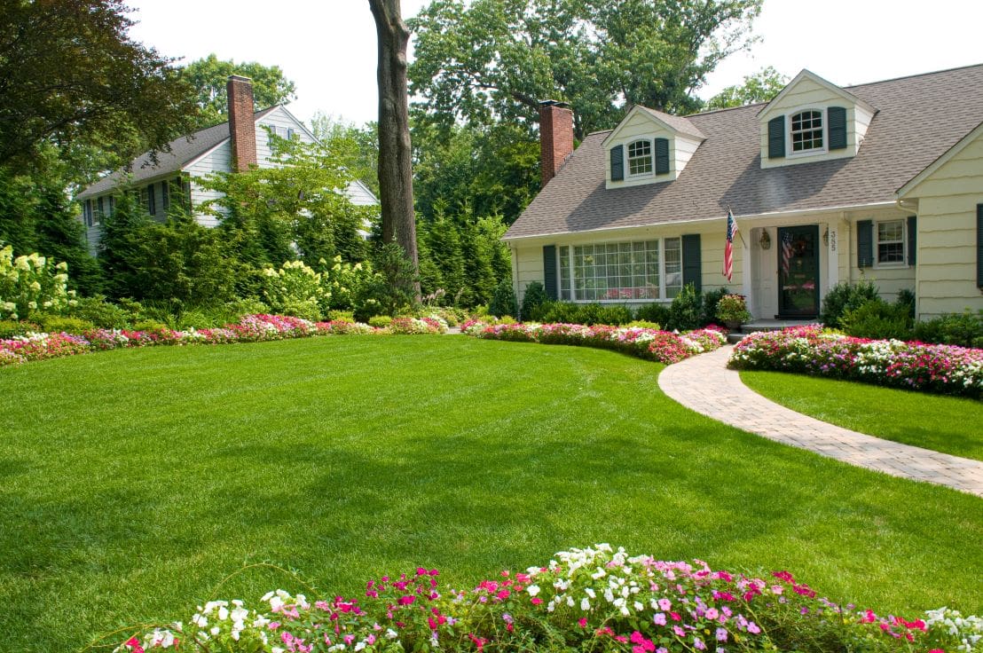 natural-lawn-services