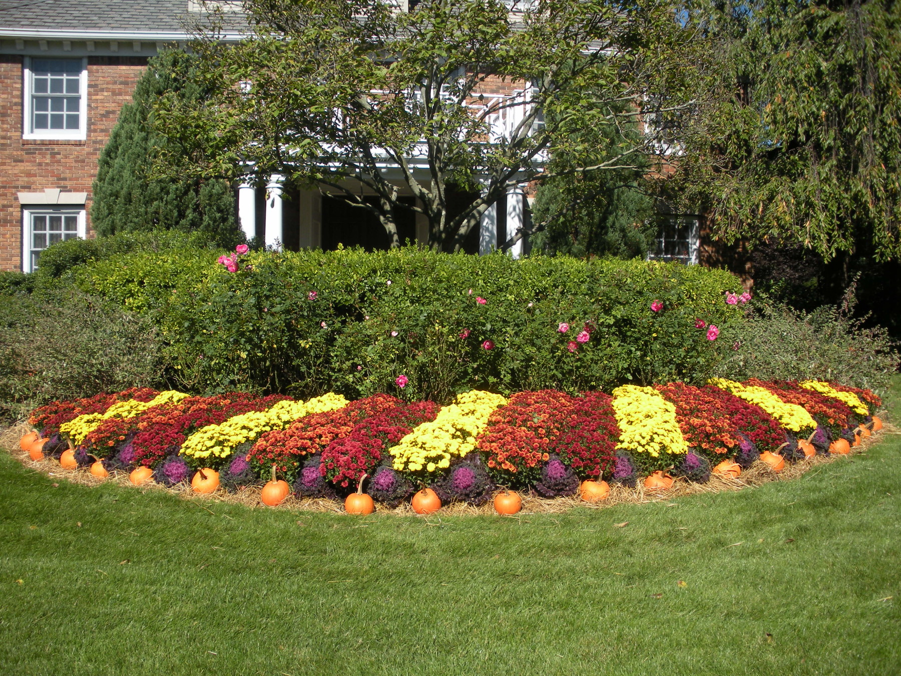 Fall Lawn Care in NJ: 10 Tips